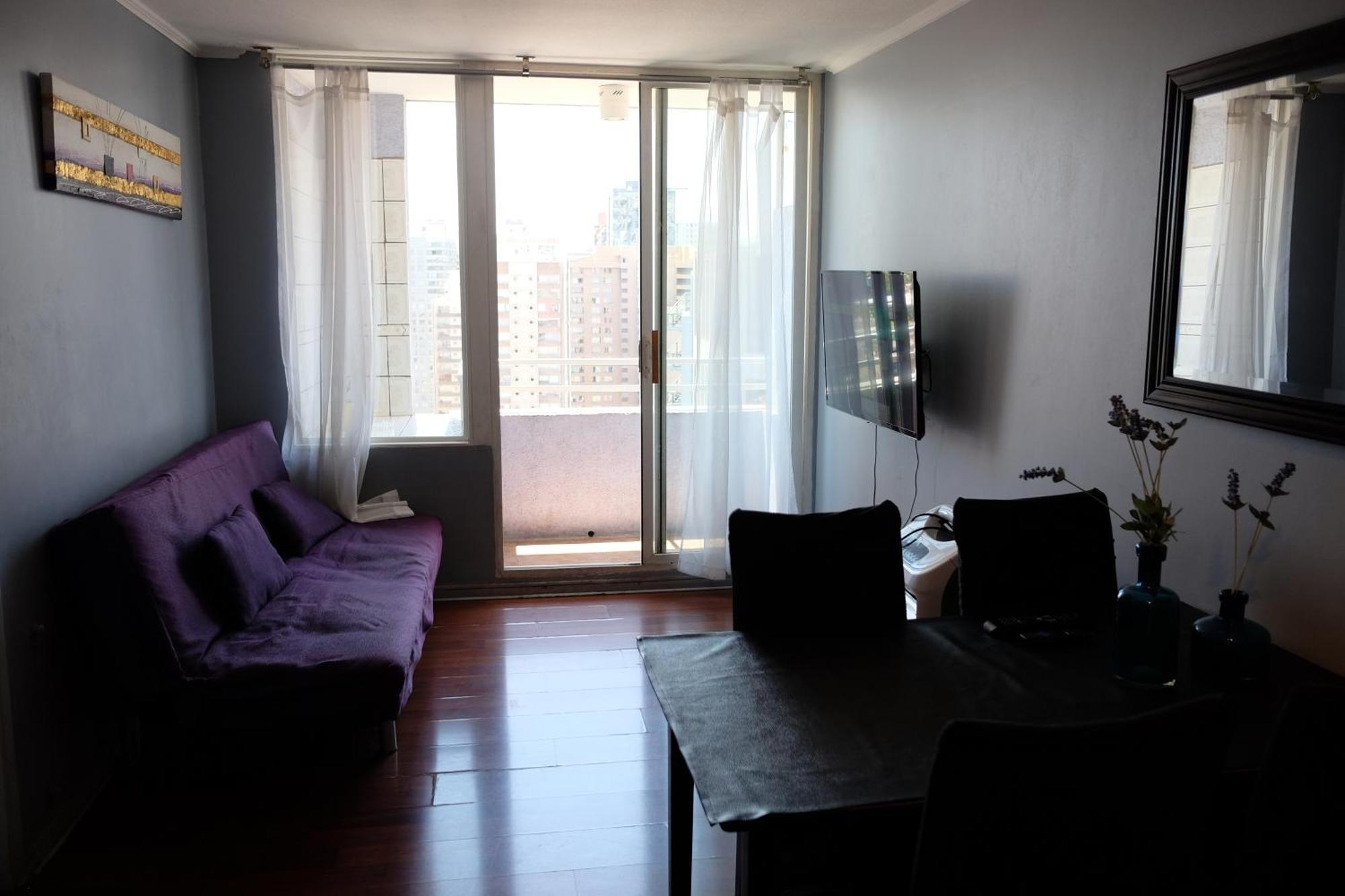 Gran 1 1 Bano - Terraza Con Vista Apartamento Santiago